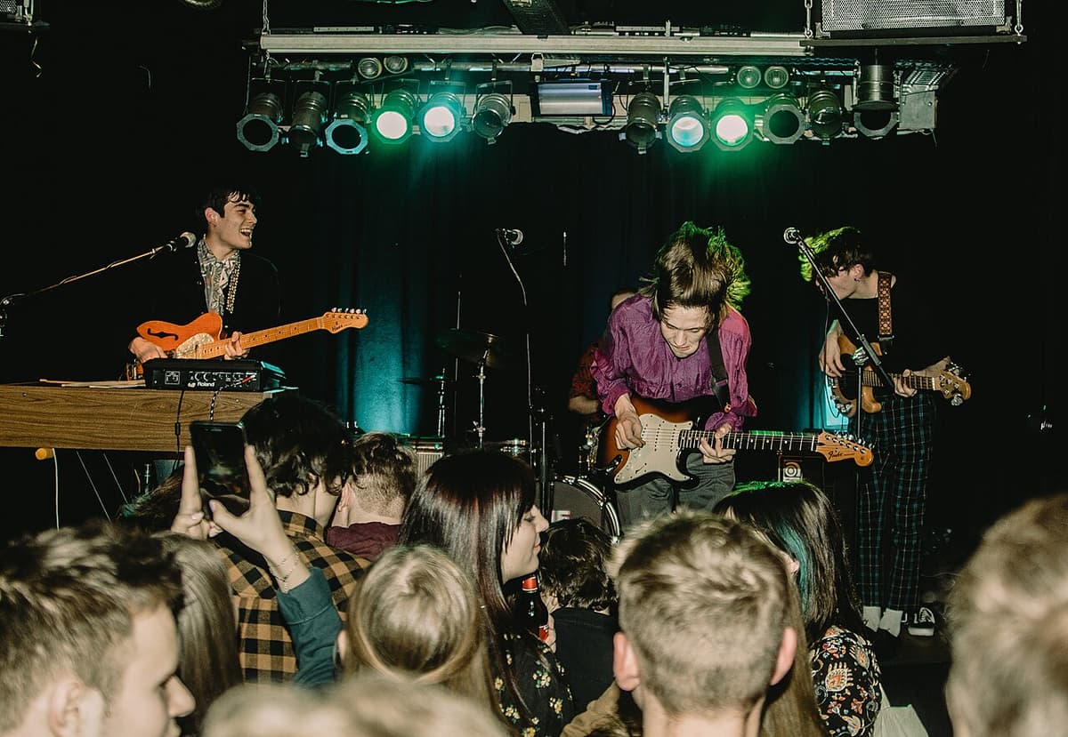 The Vices