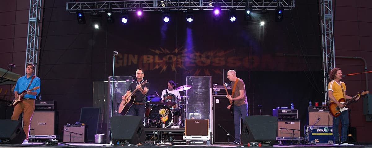 Gin Blossoms