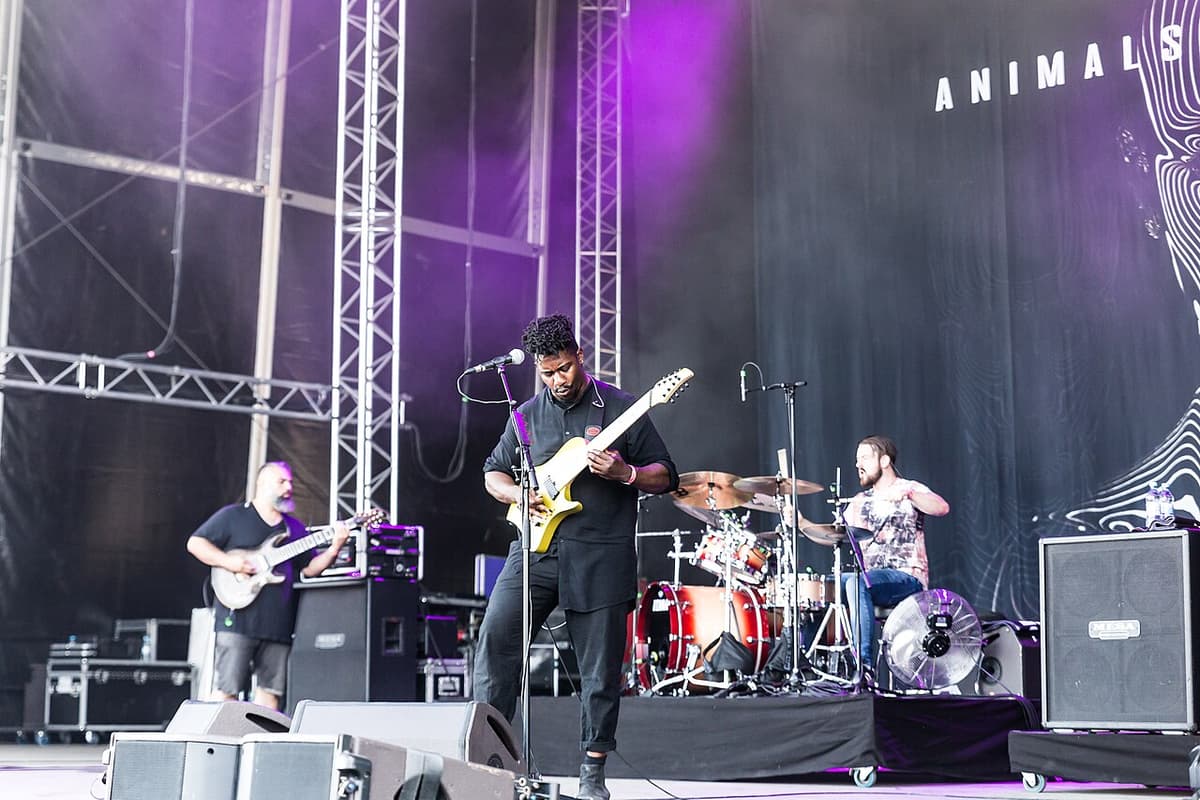 Animals as Leaders