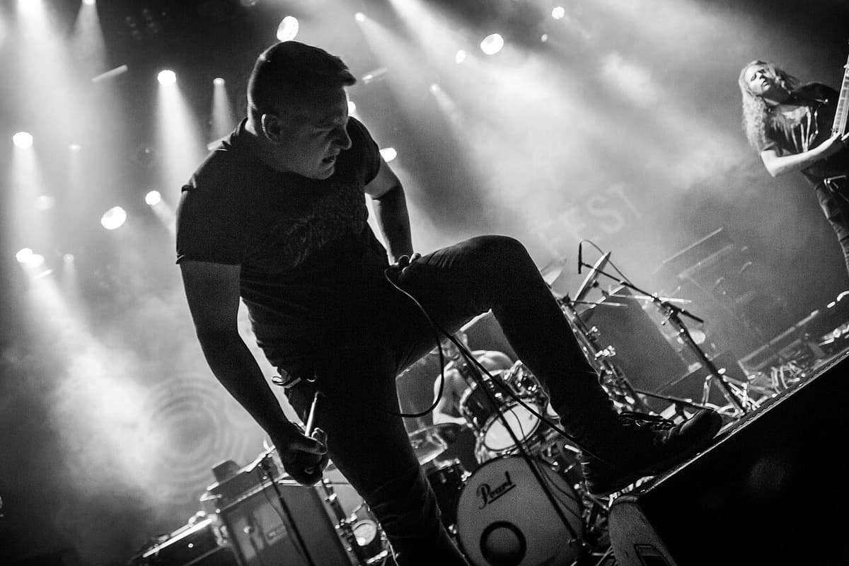 Disentomb
