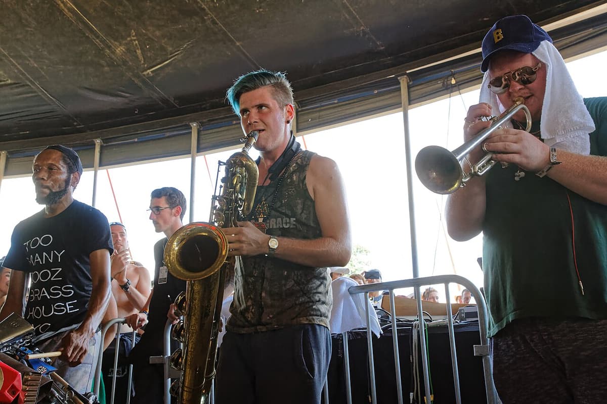 Too Many Zooz