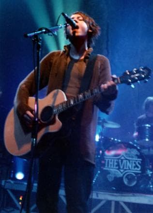 The Vines