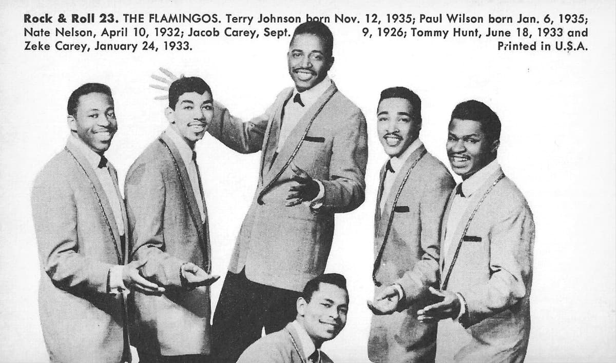 The Flamingos