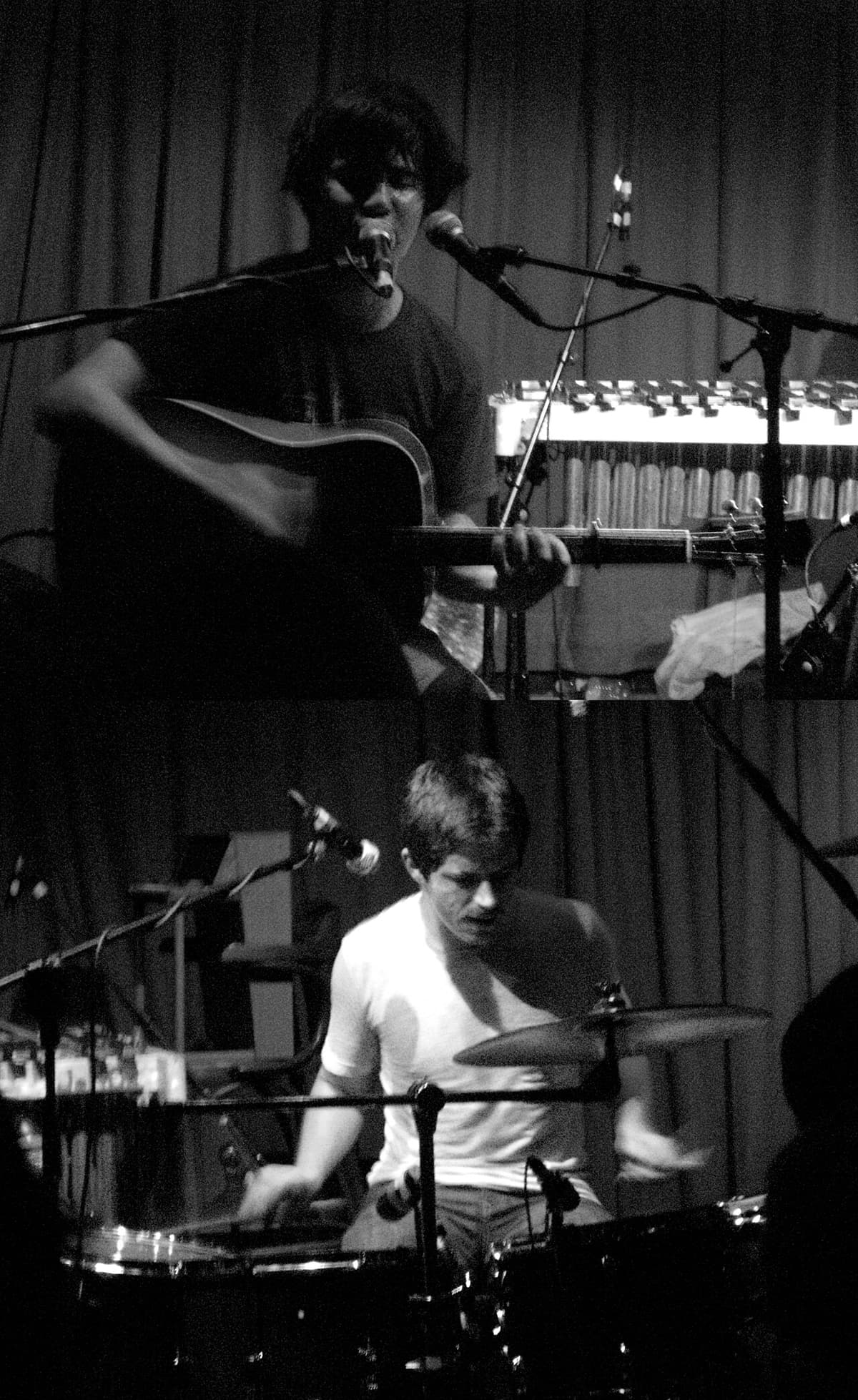 The Dodos