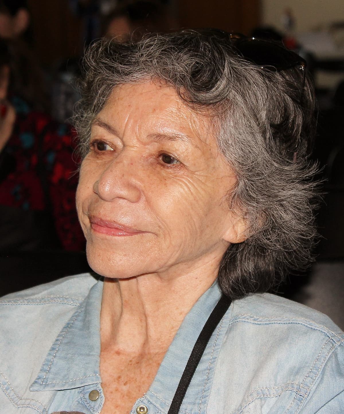 Isabel Parra