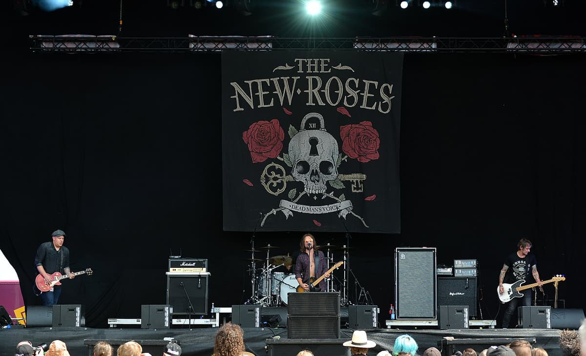 The New Roses