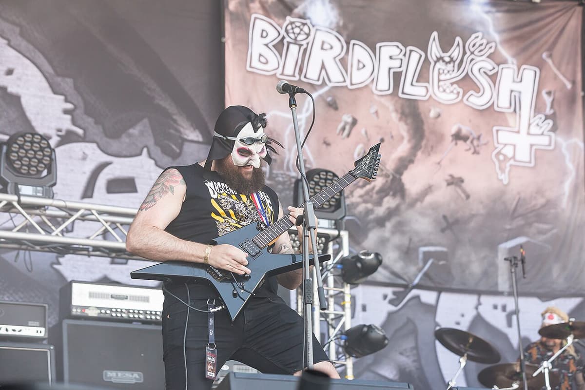 Birdflesh