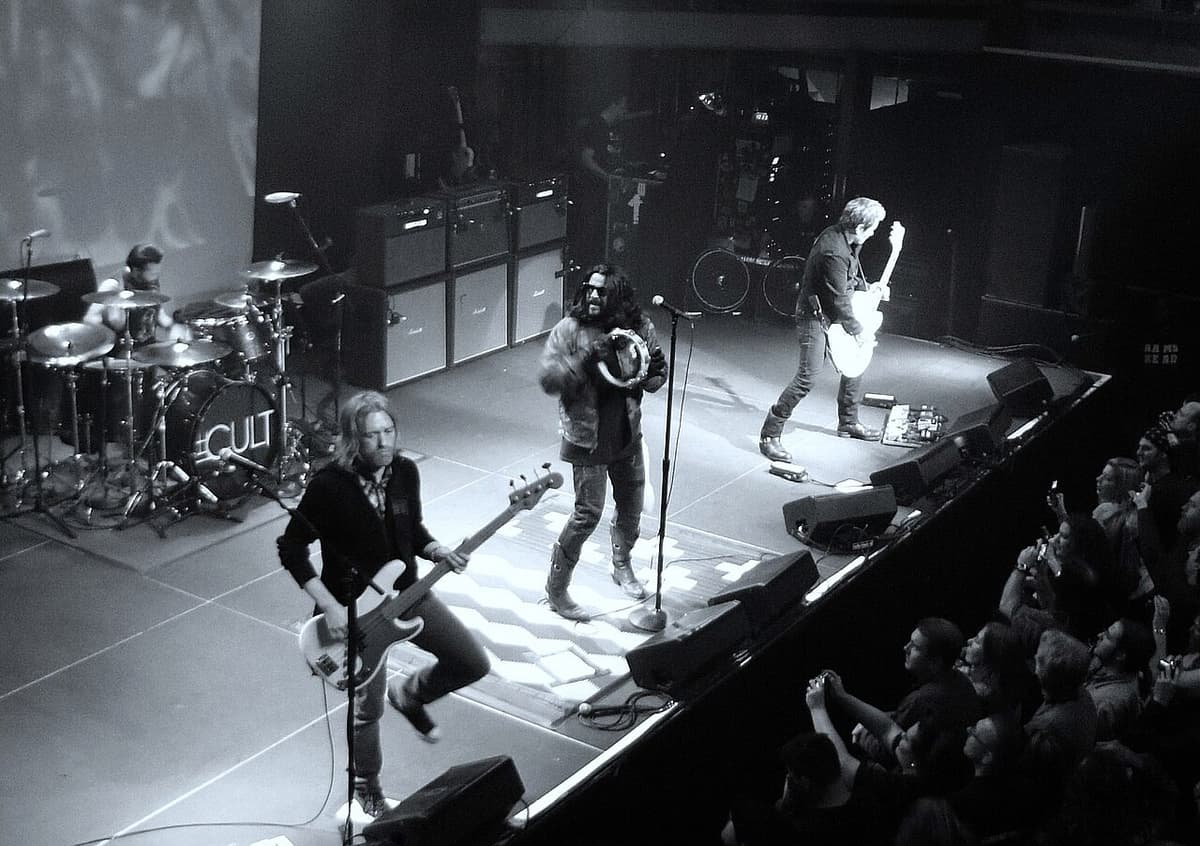 The Cult