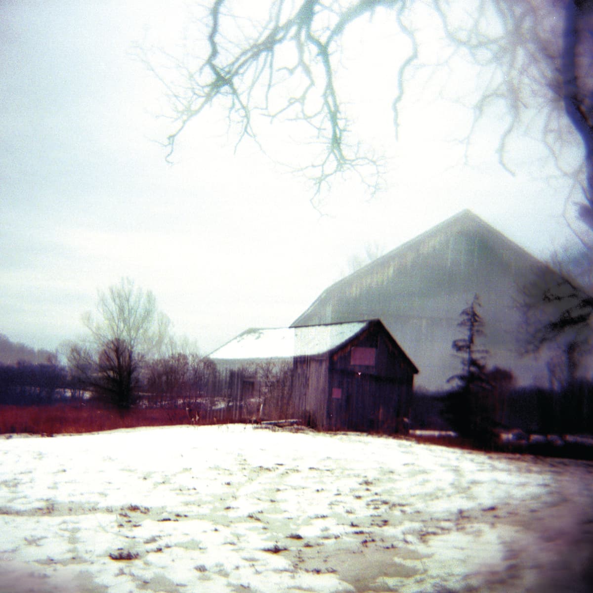 House With No Home