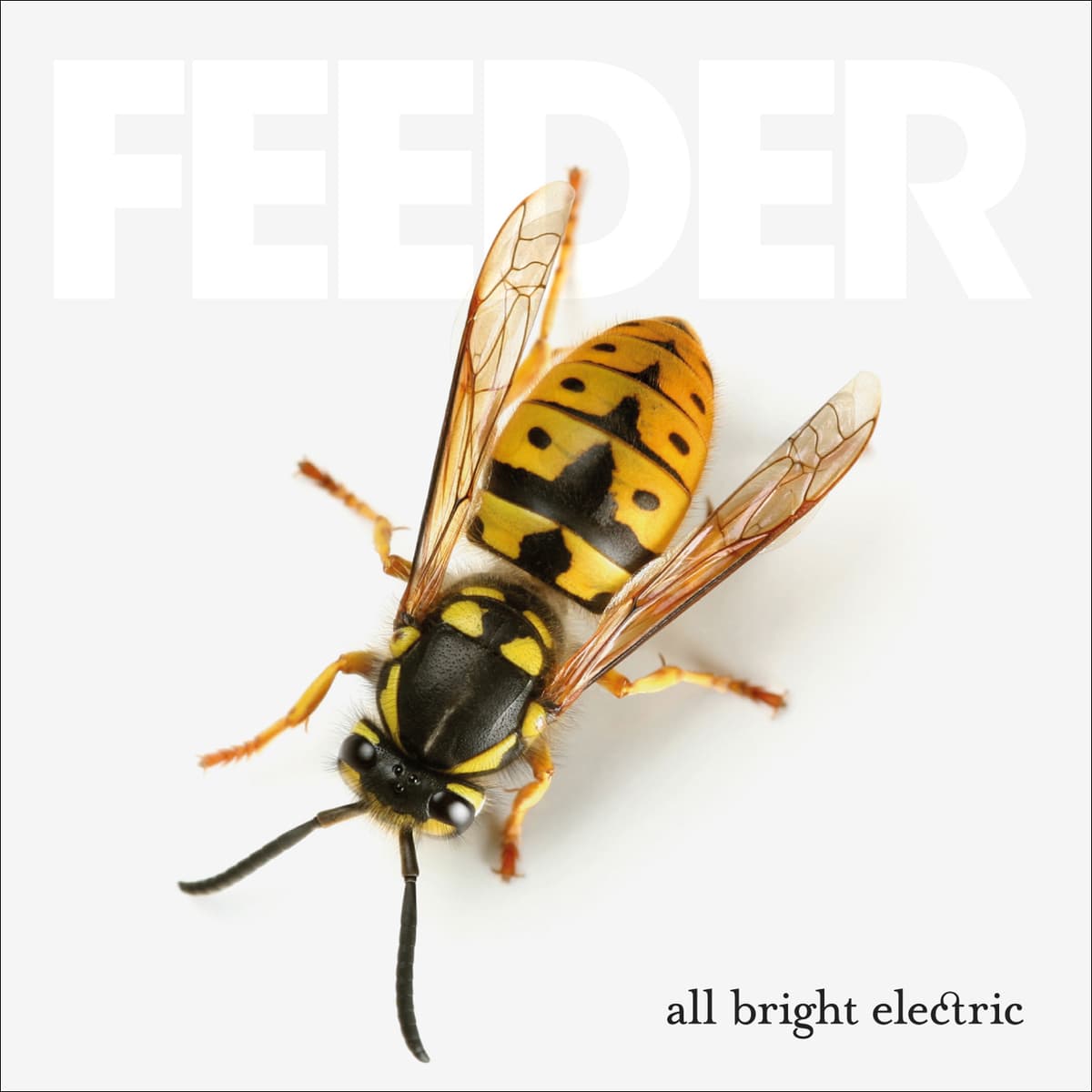 All Bright Electric