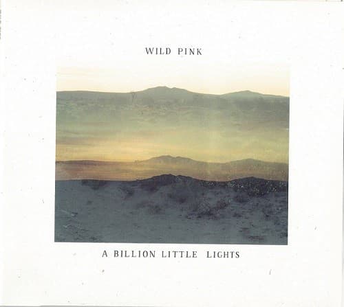 A Billion Little Lights