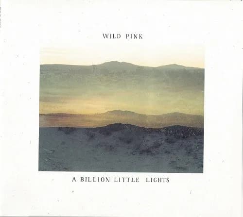 A Billion Little Lights
