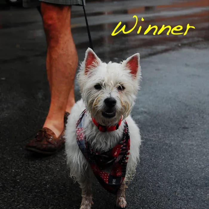 Winner