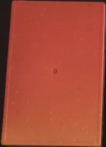 Orange Rainbow