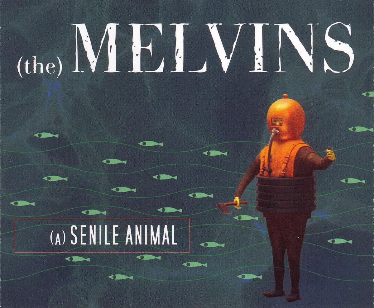 (A) Senile Animal