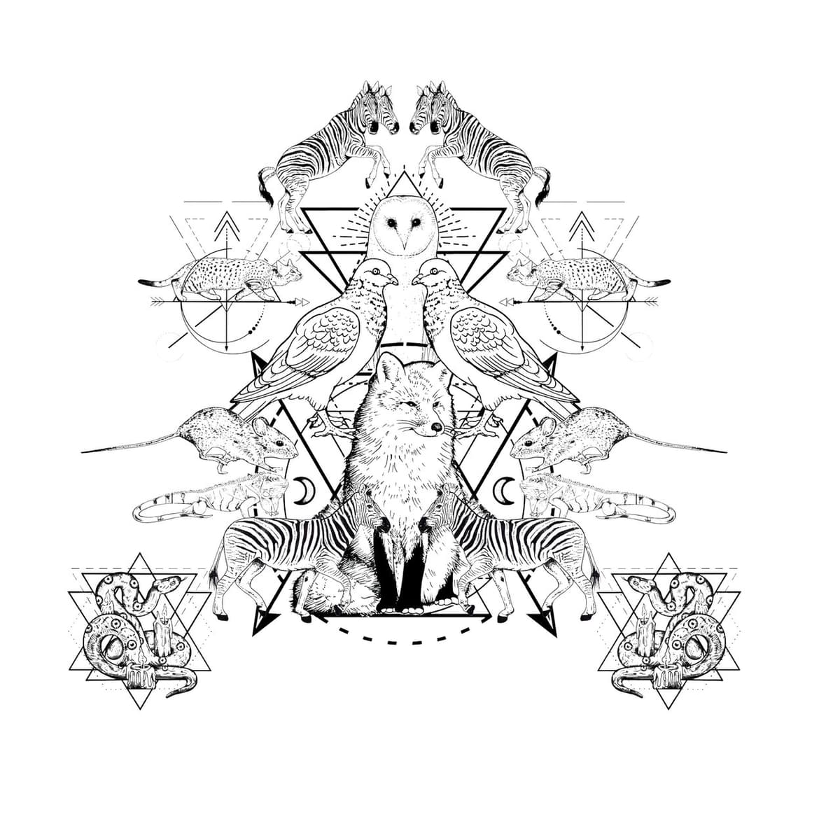 Metamorphosis