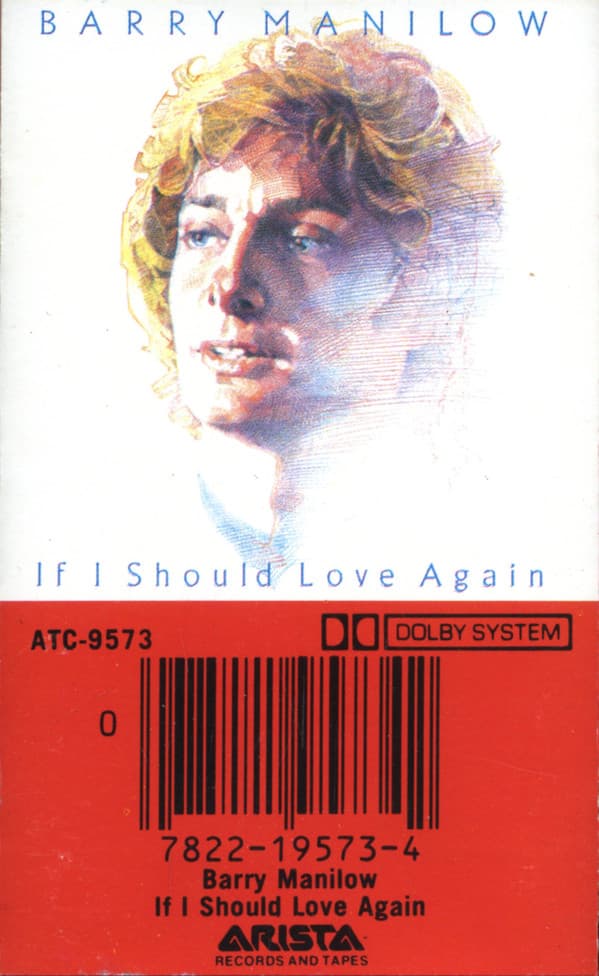 If I Should Love Again