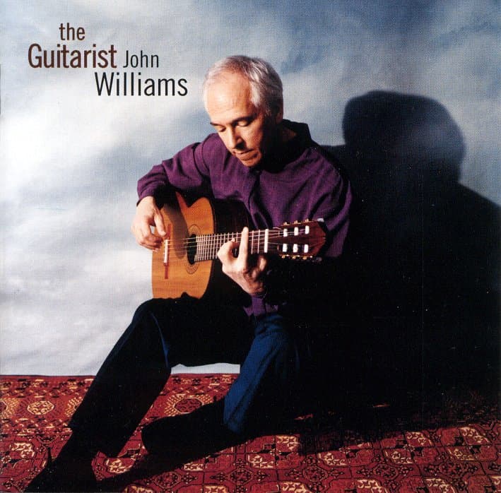 The Guitarist