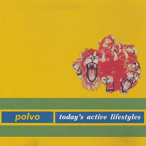 Today’s Active Lifestyles