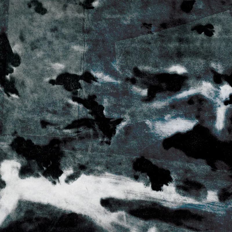 A MURDER OF CROWS