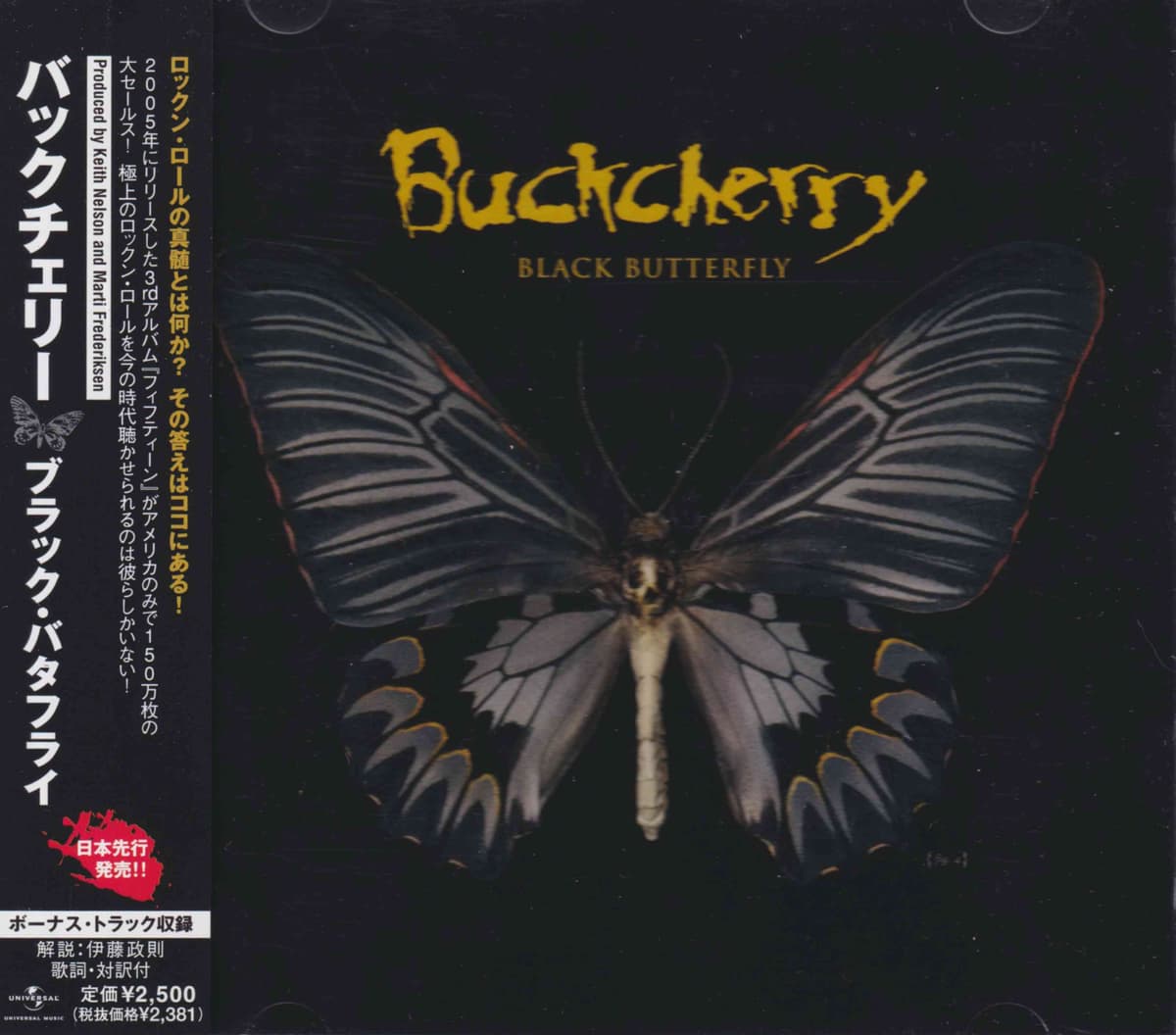 Black Butterfly