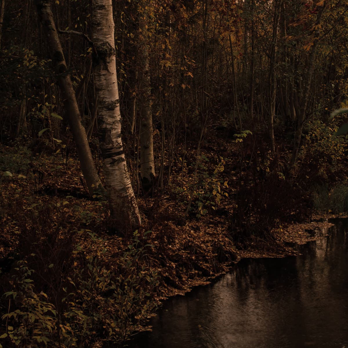 Pimeyttä vasten