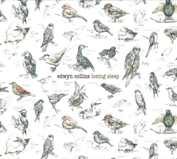 Losing Sleep