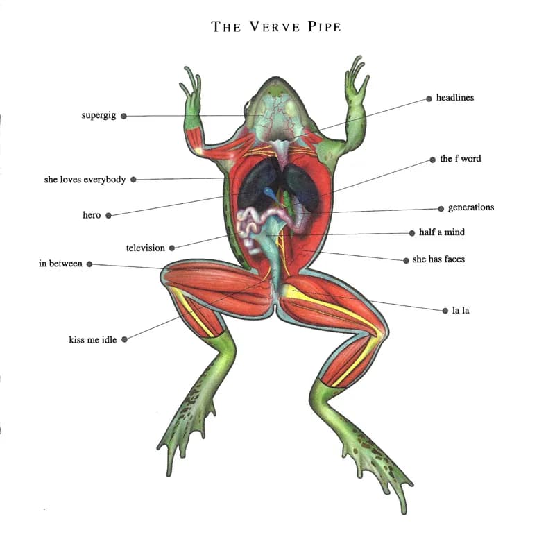 The Verve Pipe
