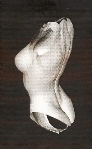 Scenes With Curved Objects