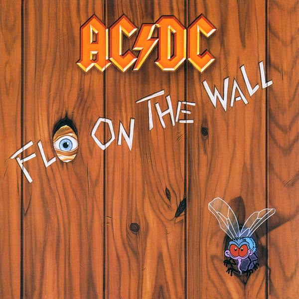 Fly on the Wall