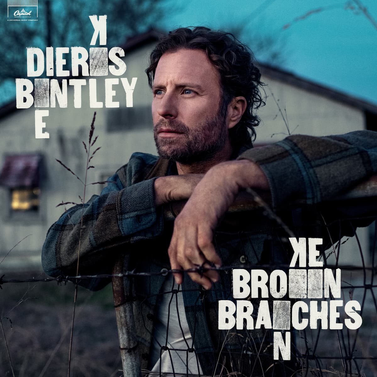 Broken Branches