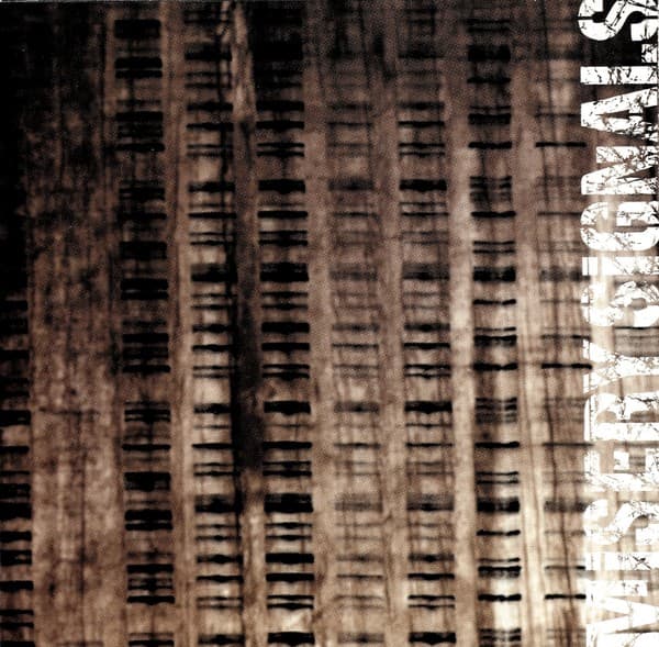 Misery Signals