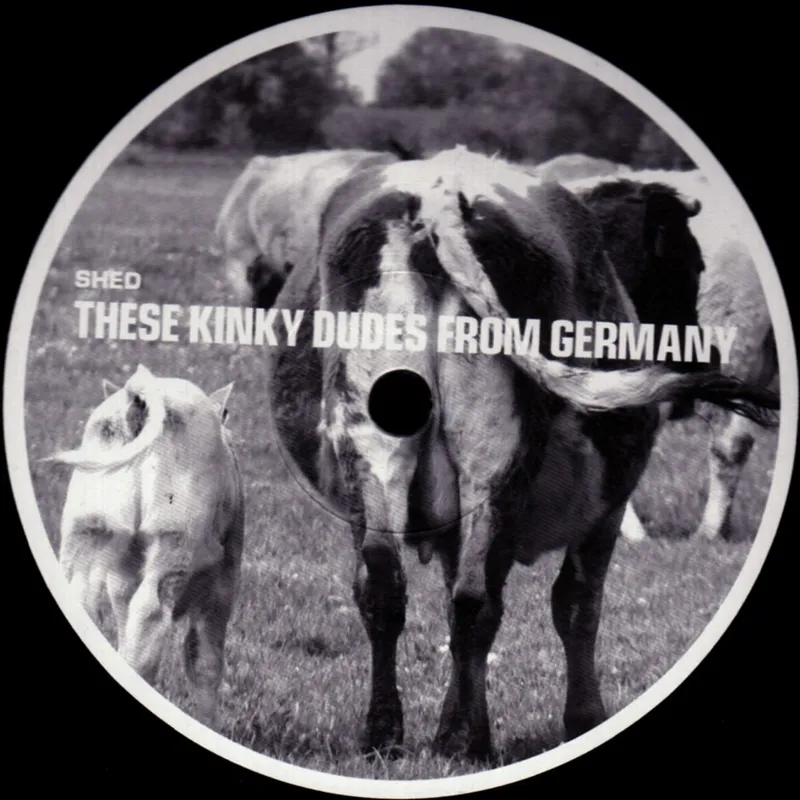These Kinky Dudes From Germany