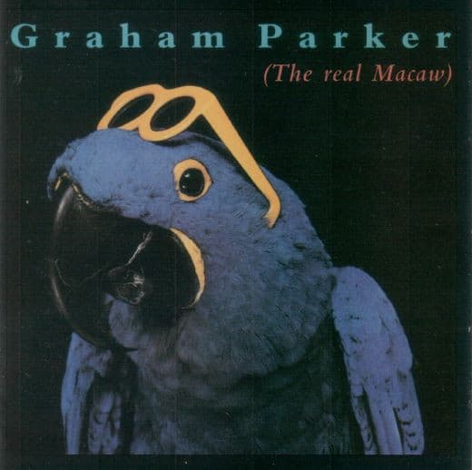 The Real Macaw