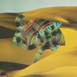 Django Django