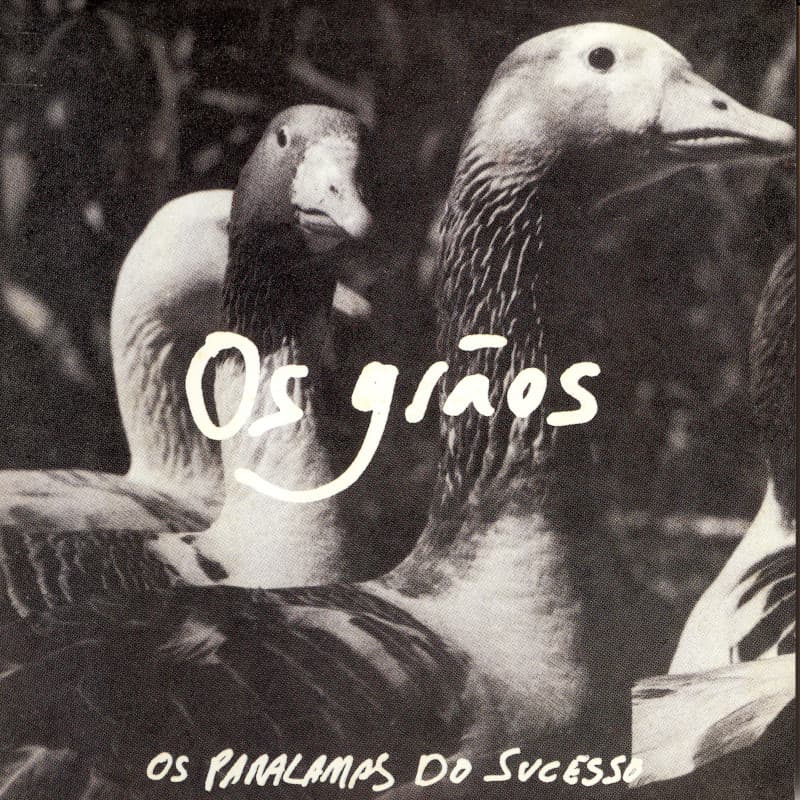 Os grãos