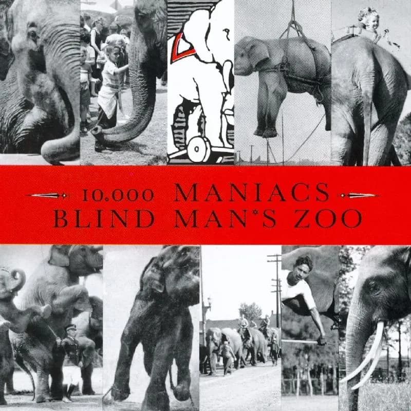 Blind Man’s Zoo