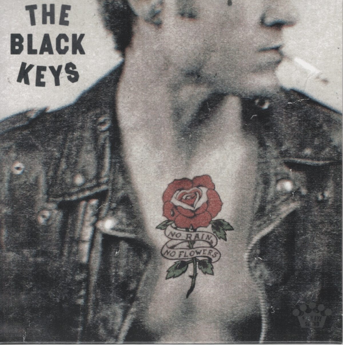 No Rain, No Flowers