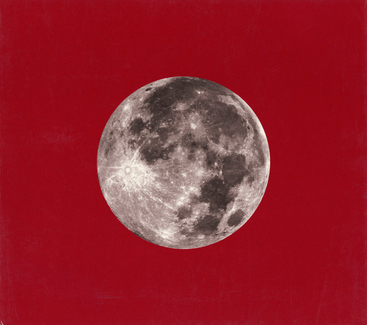 Red Letter Year